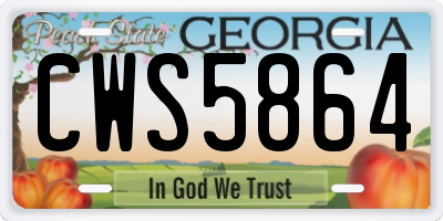 GA license plate CWS5864