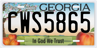 GA license plate CWS5865