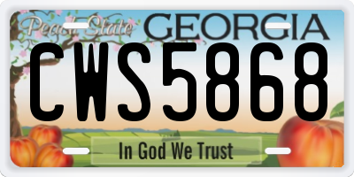 GA license plate CWS5868