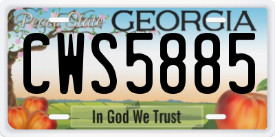 GA license plate CWS5885