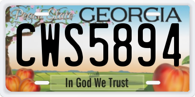 GA license plate CWS5894