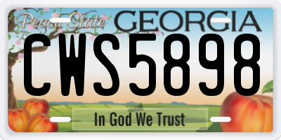 GA license plate CWS5898