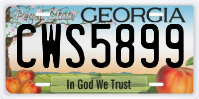 GA license plate CWS5899