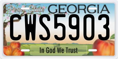 GA license plate CWS5903