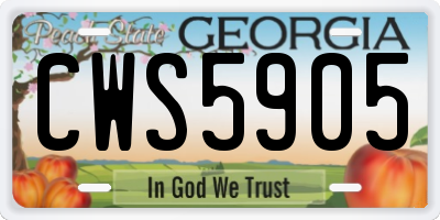 GA license plate CWS5905