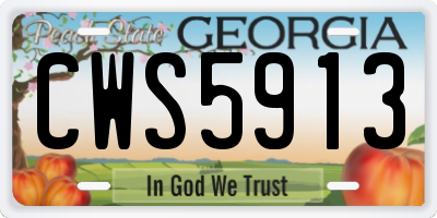 GA license plate CWS5913