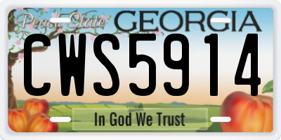 GA license plate CWS5914
