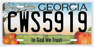 GA license plate CWS5919