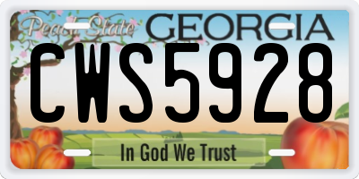 GA license plate CWS5928