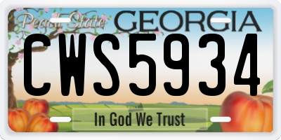 GA license plate CWS5934