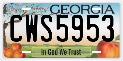 GA license plate CWS5953