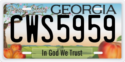 GA license plate CWS5959