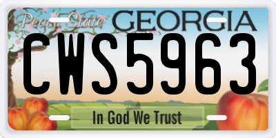 GA license plate CWS5963