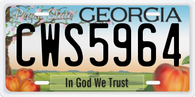 GA license plate CWS5964