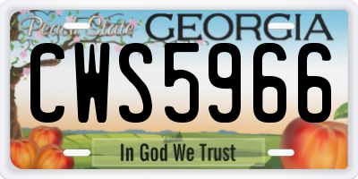 GA license plate CWS5966
