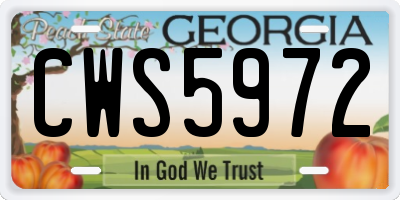 GA license plate CWS5972