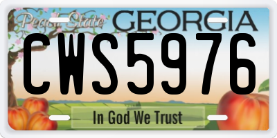 GA license plate CWS5976