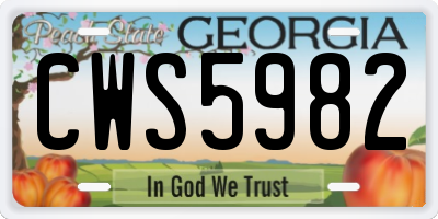 GA license plate CWS5982