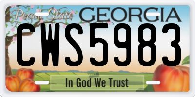 GA license plate CWS5983