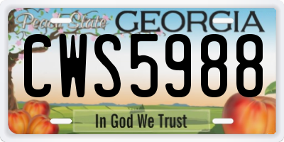 GA license plate CWS5988