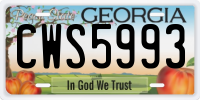 GA license plate CWS5993
