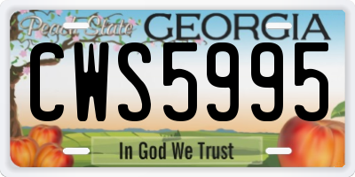 GA license plate CWS5995