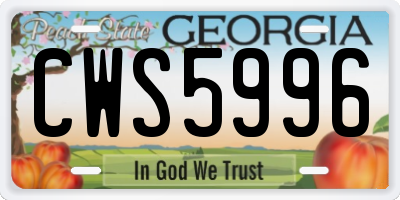 GA license plate CWS5996