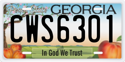GA license plate CWS6301
