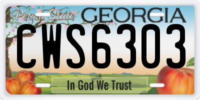 GA license plate CWS6303