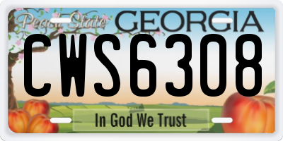 GA license plate CWS6308