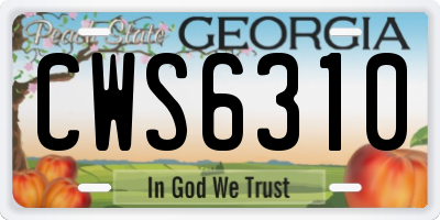 GA license plate CWS6310