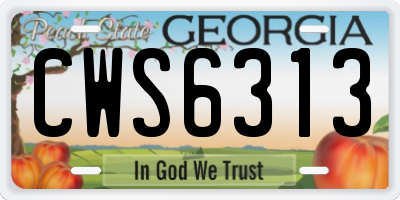 GA license plate CWS6313