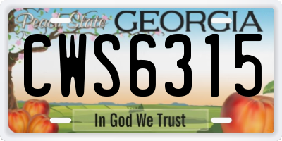 GA license plate CWS6315