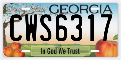 GA license plate CWS6317