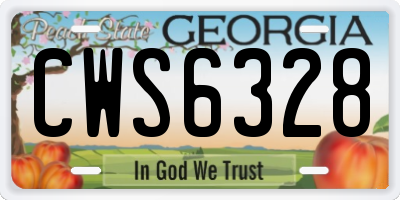 GA license plate CWS6328