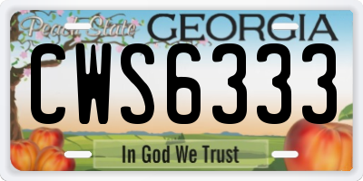GA license plate CWS6333