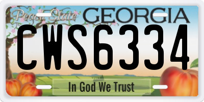 GA license plate CWS6334
