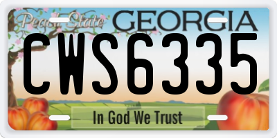 GA license plate CWS6335