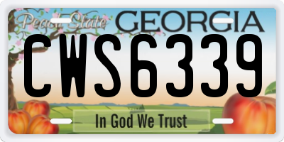 GA license plate CWS6339