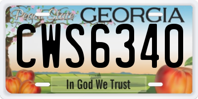 GA license plate CWS6340