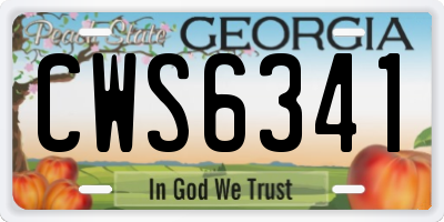 GA license plate CWS6341