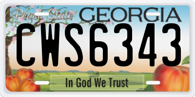 GA license plate CWS6343