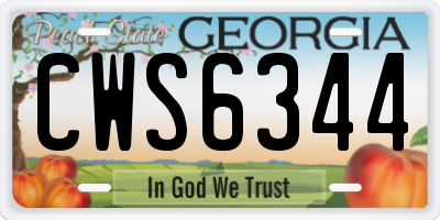 GA license plate CWS6344