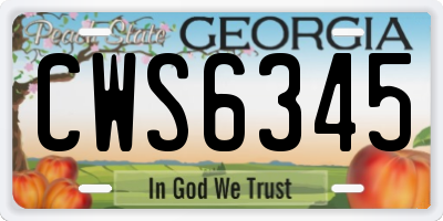 GA license plate CWS6345