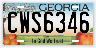 GA license plate CWS6346