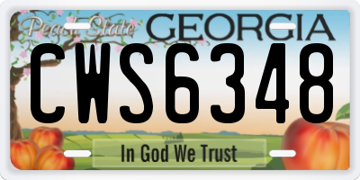 GA license plate CWS6348