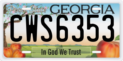 GA license plate CWS6353