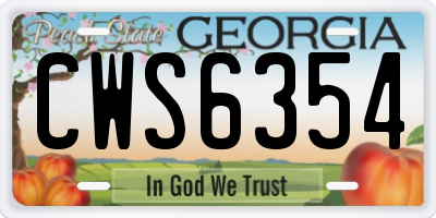 GA license plate CWS6354