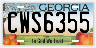 GA license plate CWS6355