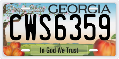 GA license plate CWS6359